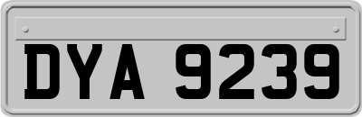DYA9239
