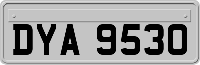 DYA9530