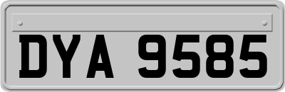 DYA9585