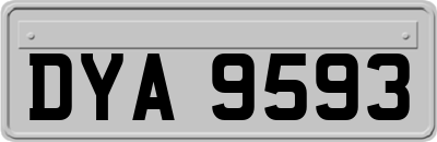 DYA9593
