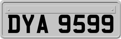 DYA9599