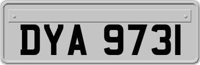DYA9731