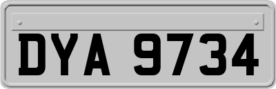 DYA9734