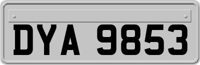 DYA9853