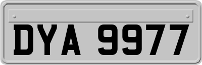 DYA9977