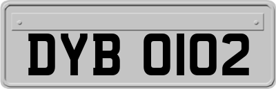 DYB0102