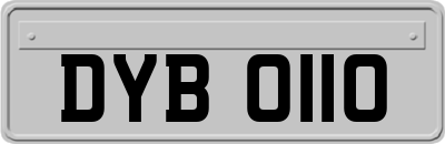DYB0110