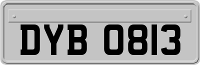 DYB0813