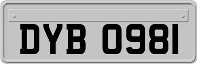 DYB0981