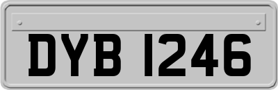 DYB1246