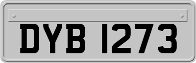 DYB1273