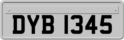 DYB1345