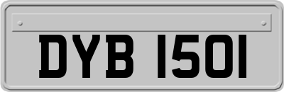 DYB1501