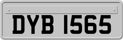 DYB1565