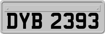DYB2393