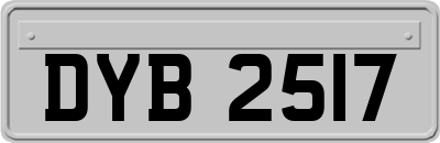 DYB2517