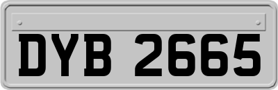 DYB2665