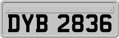 DYB2836