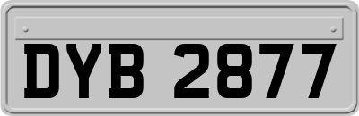 DYB2877