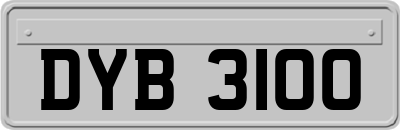 DYB3100