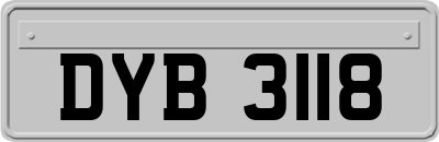 DYB3118