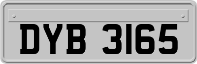 DYB3165