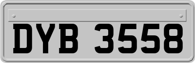 DYB3558
