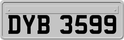 DYB3599