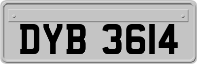 DYB3614