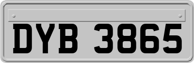 DYB3865