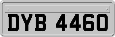 DYB4460