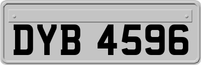 DYB4596