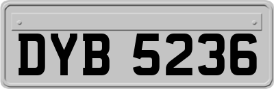DYB5236