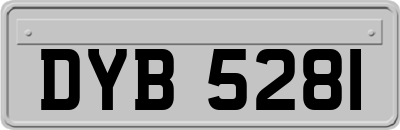 DYB5281