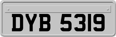 DYB5319