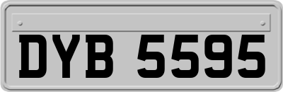 DYB5595
