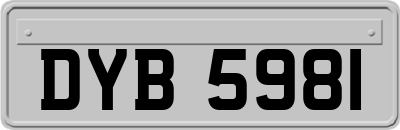 DYB5981