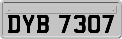 DYB7307