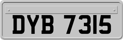 DYB7315