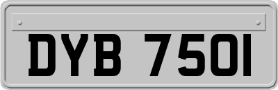 DYB7501