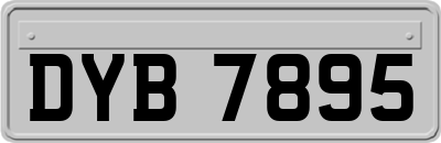 DYB7895