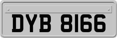 DYB8166