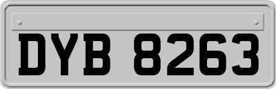 DYB8263