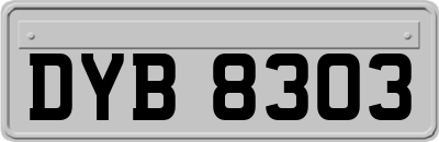 DYB8303