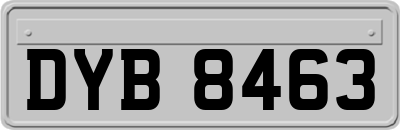 DYB8463