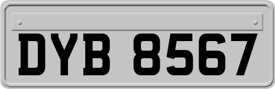 DYB8567
