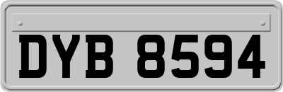 DYB8594