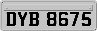 DYB8675
