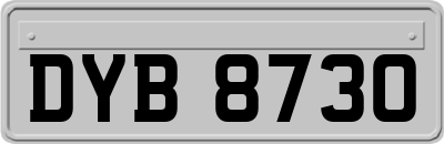 DYB8730