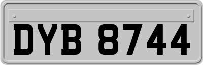 DYB8744